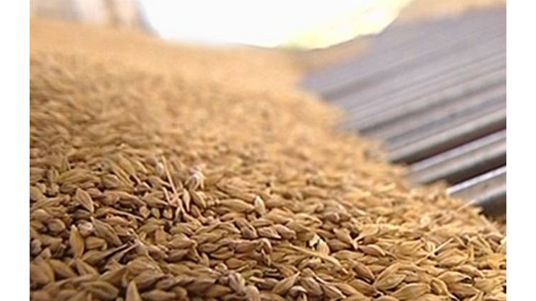 Специалисты Управления Россельхознадзора провели досмотр партии зерна, отправляемого в Иран