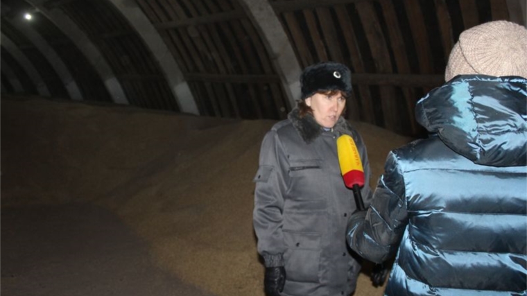 Национальным телевидением Чувашии подготовлен видеоматериал о качестве и безопасности зерна