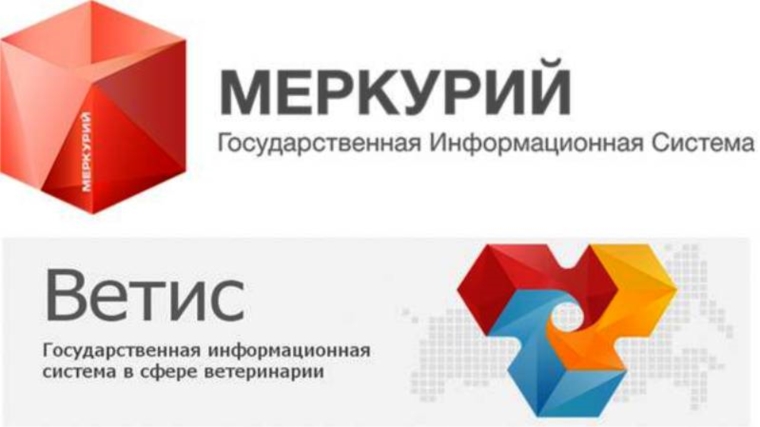Ответы на часто задаваемые вопросы о работе в Федеральной государственной информационной системе «Меркурий» на территории Ульяновской области