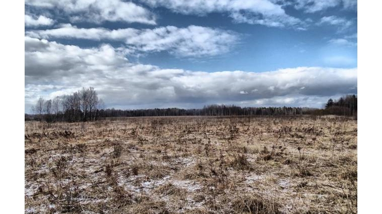 Неиспользование земель сельскохозяйственного назначения на территории Ульяновской области