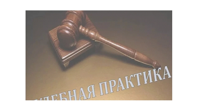 Анализ судебной практики в области государственного земельного надзора в Чувашской Республике