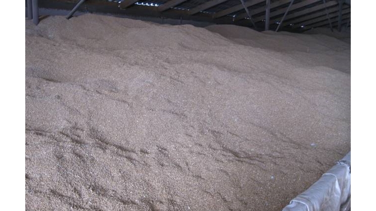 В Чувашской Республике при внеплановых проверках выявлено некачественное и опасное зерно
