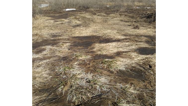 Отбор проб для выявления загрязнения почвы химическими веществами в Моргаушском районе Чувашской Республики