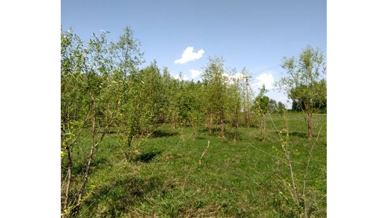 Неиспользование земельного участка в Синьял-Покровском сельском поселении Чебоксарского района Чувашской Республики
