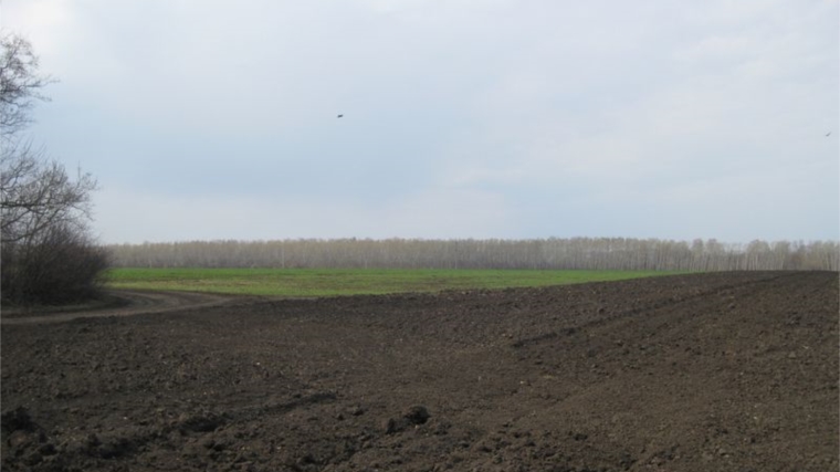 В Ульяновской области продолжается весенний сев