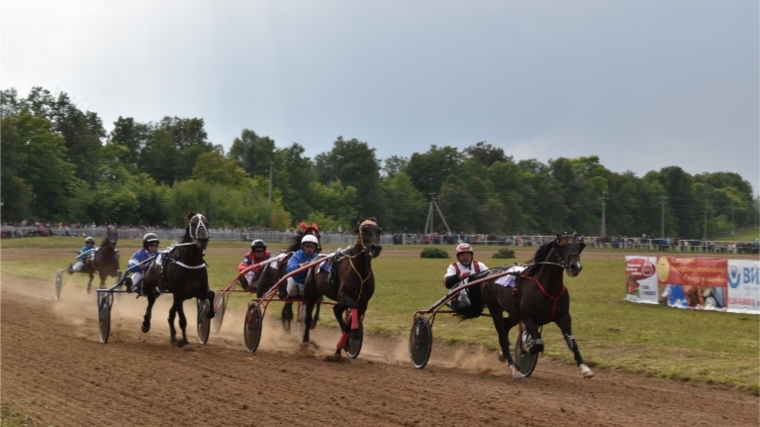 В Чувашии состоялись конные бега «Кубок Чувашии-2019»
