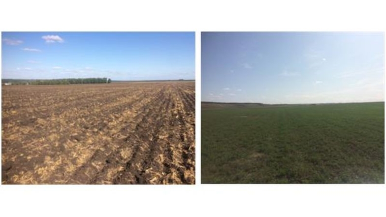 Сельхозкооператив в Комсомольском районе Чувашской Республики использует земли по назначению
