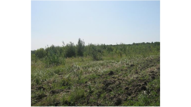 Собственники неиспользуемых земельных участков в Цивильском районе Чувашской Республики будут внепланово проверены