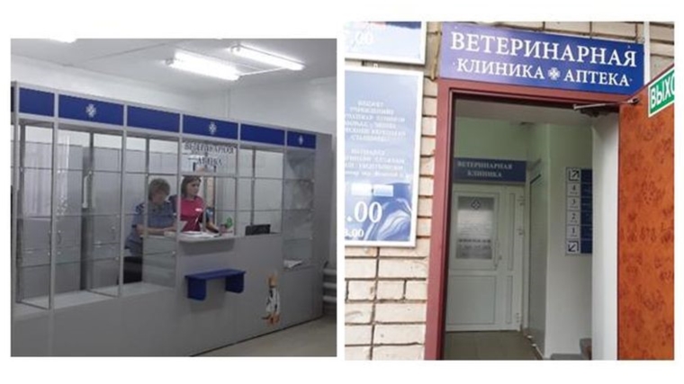 Состоялась проверка ветеринарной аптеки Чебоксарской городской станции по борьбе с болезнями животных
