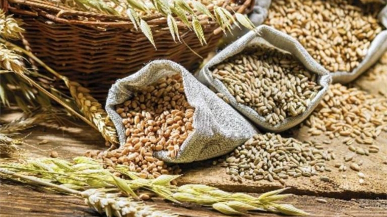 За 10 месяцев 2019 года с территории Ульяновской области на экспорт отгружено 43,39 тыс. тонн зерна и продуктов его переработки