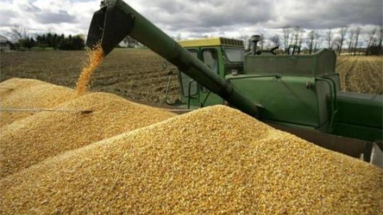 Участникам зернового рынка необходимо учитывать изменения к Техническому регламенту Таможенного союза «О безопасности зерна»