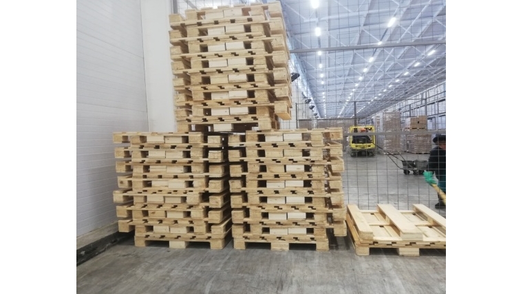 Досмотр древесных упаковочных материалов в ООО «Торговый дом «Акконд»