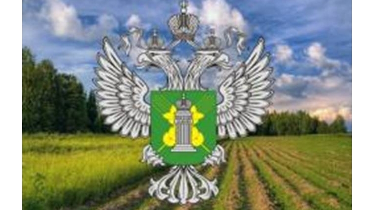 В результате работы Управления Россельхознадзора по Чувашской Республике и Ульяновской области в сельскохозяйственный оборот вовлечено 5,4 тыс. га ранее не используемых земель