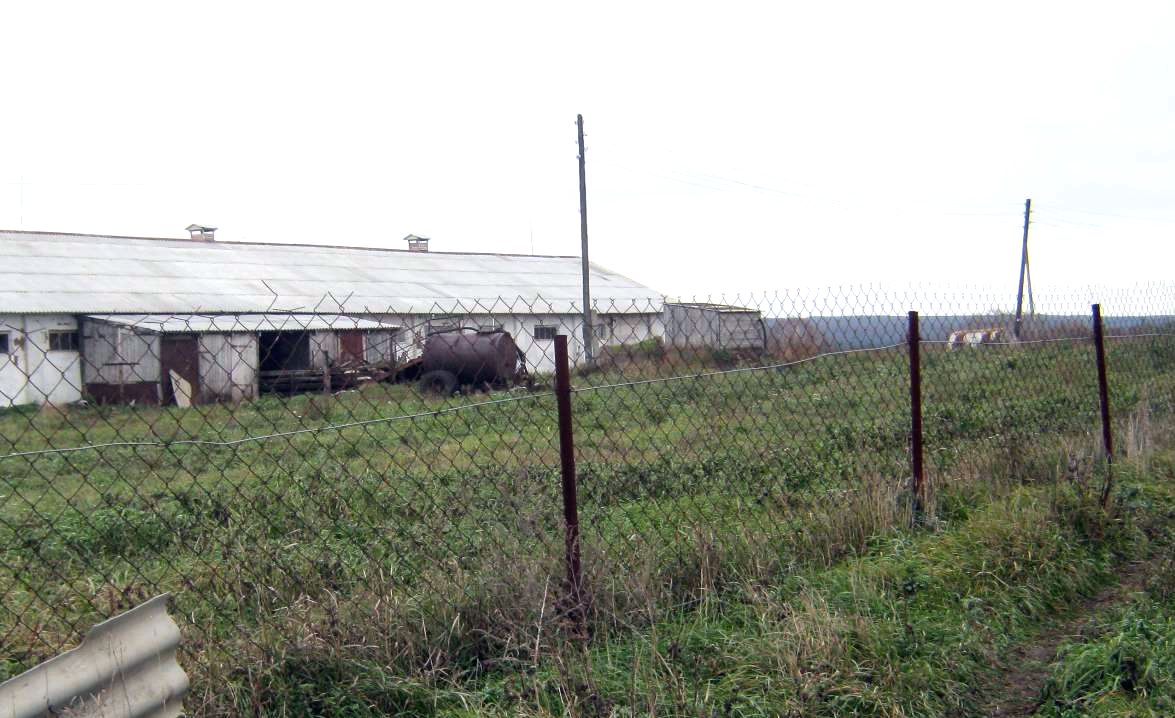 Отбор почв с земельных участков, прилегающих к свинотоварным фермам