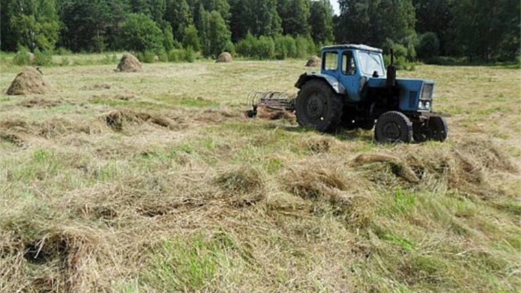 О проверке собственника сельхозземель в Вешкаймском районе Ульяновской области