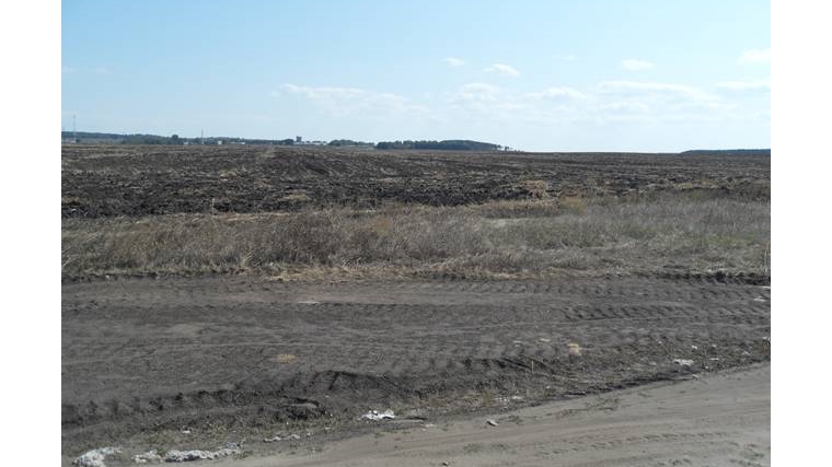 Рейдовый осмотр земельного участка в Цильнинском районе Ульяновской области