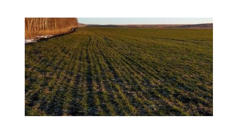 Проведена проверка собственника сельхозземель в Карсунском районе Ульяновской области