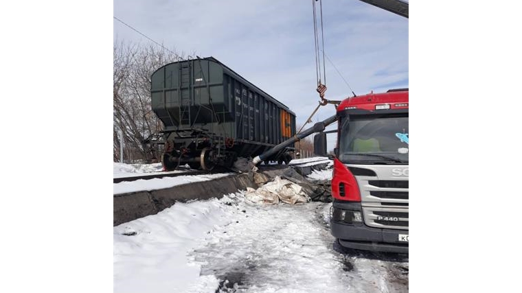 Досмотр шрота соевого, поступившего из Белгородской области