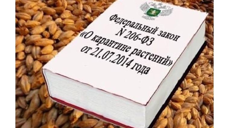 Сельхозкооператив ввез растительную продукцию, не известив территориальное управление Россельхознадзора