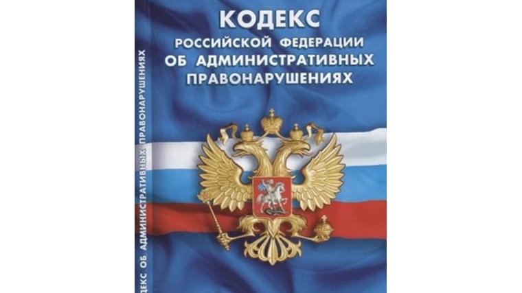 Собственник допустил зарастание земельного участка в Николаевском районе Ульяновской области