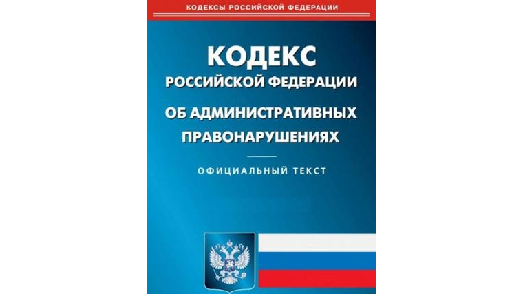 Владелица земельного участка допустила его зарастание