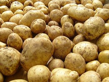 О  выявлении нарушения при ввозе картофеля