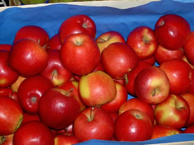 Продолжается  досмотр  импортных яблок