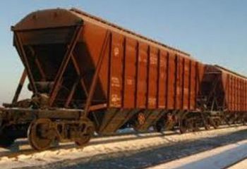 Досмотр пшеницы, поступившей железнодорожным транспортом